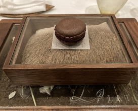 Dinner at LATURE (ラチュレ)
