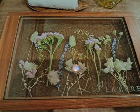 Dinner at LATURE (ラチュレ)