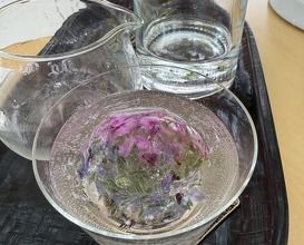 Dinner at Budoonomori Les Tonnelles (レストランぶどうの森 レ・トネル)