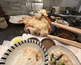 Dinner at Tonkatsu Mange (とんかつ マンジェ)