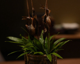 Dinner at Gion Matayoshi (祇園 又吉)