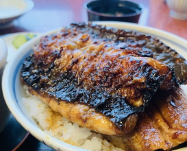 Dinner at Unagi no Matsu Ka (うなぎのまつ嘉)