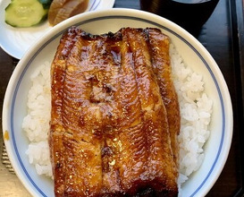 Dinner at Unagi no Matsu Ka (うなぎのまつ嘉)
