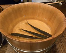 Dinner at Matsukawa (松川)