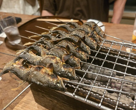 Dinner at Matsukawa (松川)