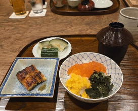 Dinner at Matsukawa (松川)