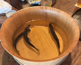 Dinner at Matsukawa (松川)