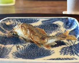 Dinner at Matsukawa (松川)
