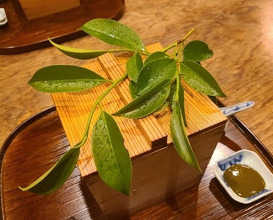 Dinner at Matsukawa (松川)