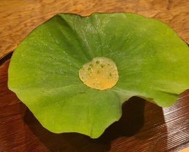 Dinner at Matsukawa (松川)