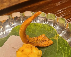 Dinner at Matsukawa (松川)