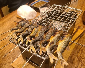 Dinner at Matsukawa (松川)
