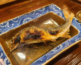 Dinner at Matsukawa (松川)