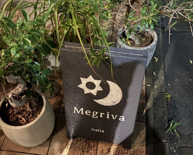Dinner at megriva (メグリヴァ)