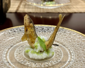 Dinner at Mikadoya (美加登家)