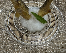 Dinner at Mikadoya (美加登家)