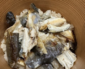 Dinner at Mikadoya (美加登家)