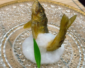 Dinner at Mikadoya (美加登家)