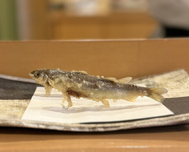 Dinner at Akita Tempura Mikawa (秋田 てんぷら みかわ)