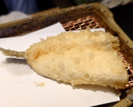 Dinner at Mikawa Zezankyo (みかわ 是山居)