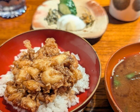 Dinner at Mikawa Zezankyo (みかわ 是山居)