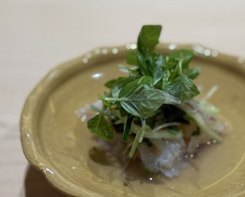 Dinner at Sushi Miyakawa (すし宮川)
