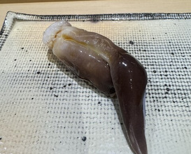 Dinner at Sushi Miyakawa (すし宮川)
