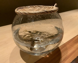 Dinner at Ryoriya Miyazaki (料理屋 みや﨑)