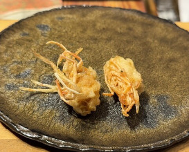 Dinner at Tempura Mokkosu (天ぷら もっこす)
