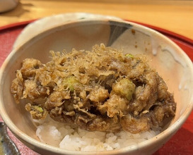 Dinner at Tempura Mokkosu (天ぷら もっこす)