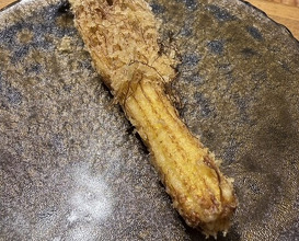 Dinner at Tempura Mokkosu (天ぷら もっこす)