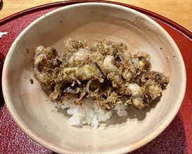 Dinner at Tempura Mokkosu (天ぷら もっこす)