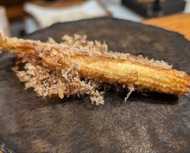 Dinner at Tempura Mokkosu (天ぷら もっこす)