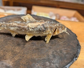 Dinner at Tempura Mokkosu (天ぷら もっこす)
