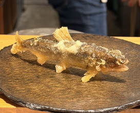 Dinner at Tempura Mokkosu (天ぷら もっこす)