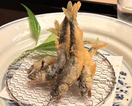 Dinner at Momen osaka (もめん)