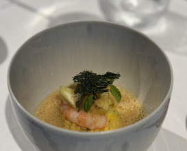 Dinner at MOTOI (MOTOI)