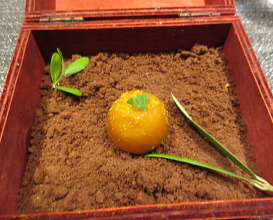 Dinner at Shimanami French Murakami (しまなみふれんち Murakami)