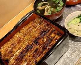 Dinner at Unagi Musashino (鰻 むさし乃)