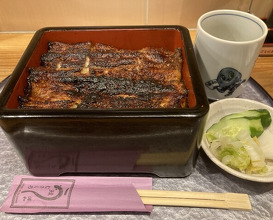 Dinner at Unagi Musashino (鰻 むさし乃)