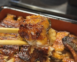Dinner at Unagi Musashino (鰻 むさし乃)