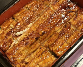 Dinner at Unagi Musashino (鰻 むさし乃)