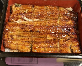Dinner at Unagi Musashino (鰻 むさし乃)