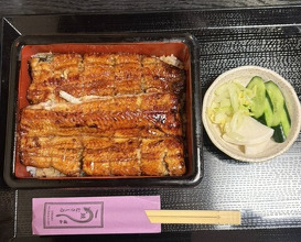 Dinner at Unagi Musashino (鰻 むさし乃)