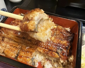 Dinner at Unagi Musashino (鰻 むさし乃)