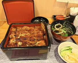 Dinner at Unagi Musashino (鰻 むさし乃)