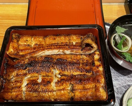 Dinner at Unagi Musashino (鰻 むさし乃)