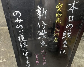Dinner at Unagi Musashino (鰻 むさし乃)