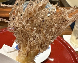 Dinner at Nakamura (Yaizu)