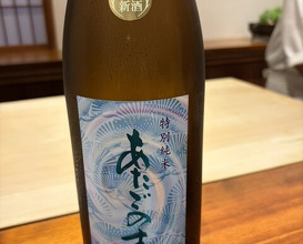Dinner at Nakamura (Yaizu)